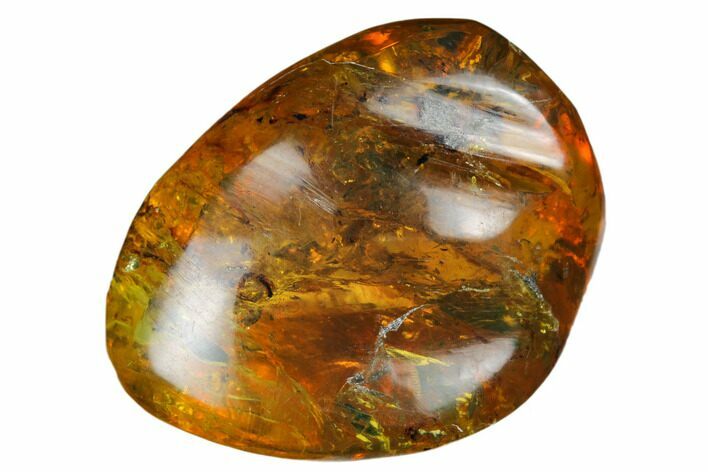 Polished Chiapas Amber ( g) - Mexico #180470
